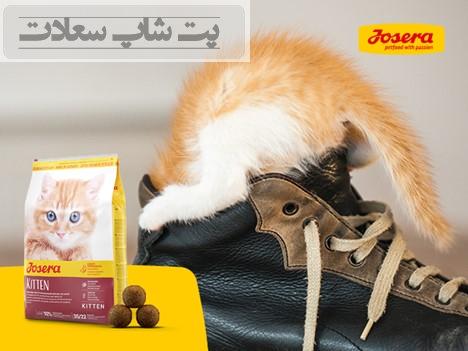 جوسرا کیتن